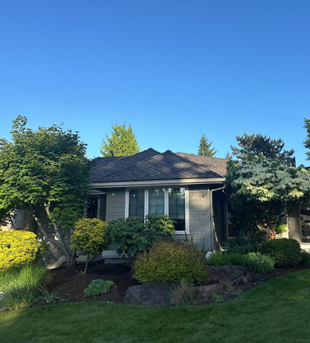 lawn cleaning