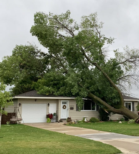 wind damage